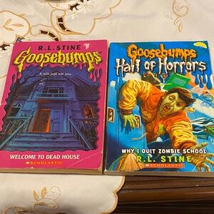 Scholastic Goosebumps Book Pair - Pink and Blue Covers